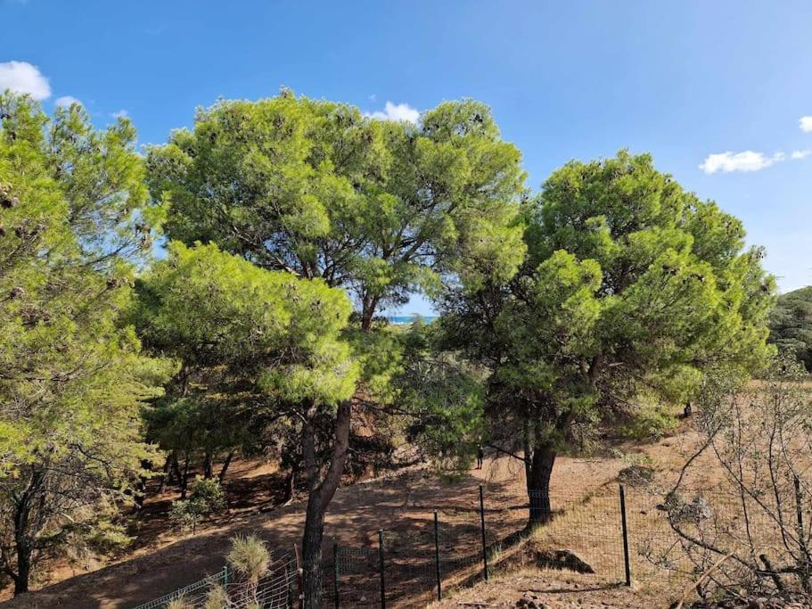 Familial Les Pescalunes * Agde